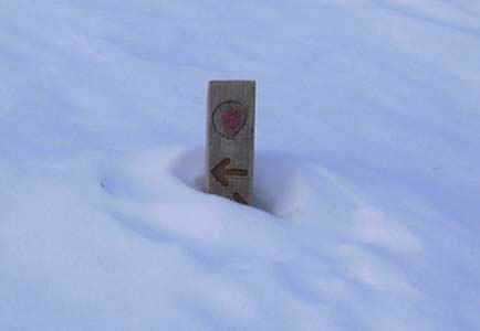 02-justa-little-bit-of-snow.jpg (28447 bytes)