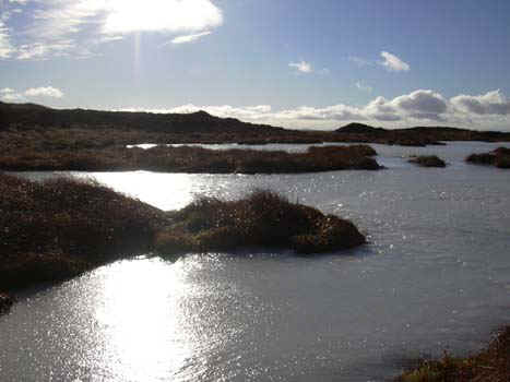 06-frozen-pond2.jpg (51483 bytes)