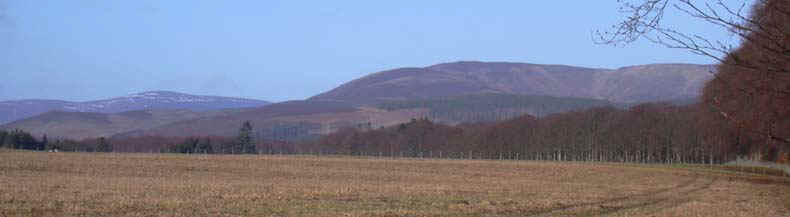 w-edzell0002.jpg (44936 bytes)