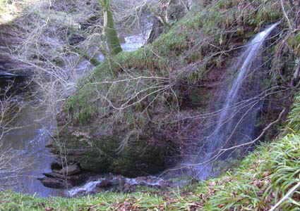 w-edzell0008.jpg (81715 bytes)