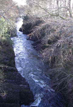 w-edzell0010.jpg (62642 bytes)
