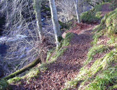 w-edzell0014.jpg (95414 bytes)