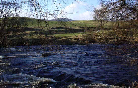w-edzell0023.jpg (89193 bytes)