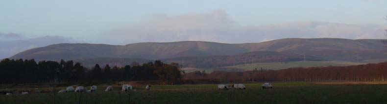 w-edzell0028.jpg (28582 bytes)